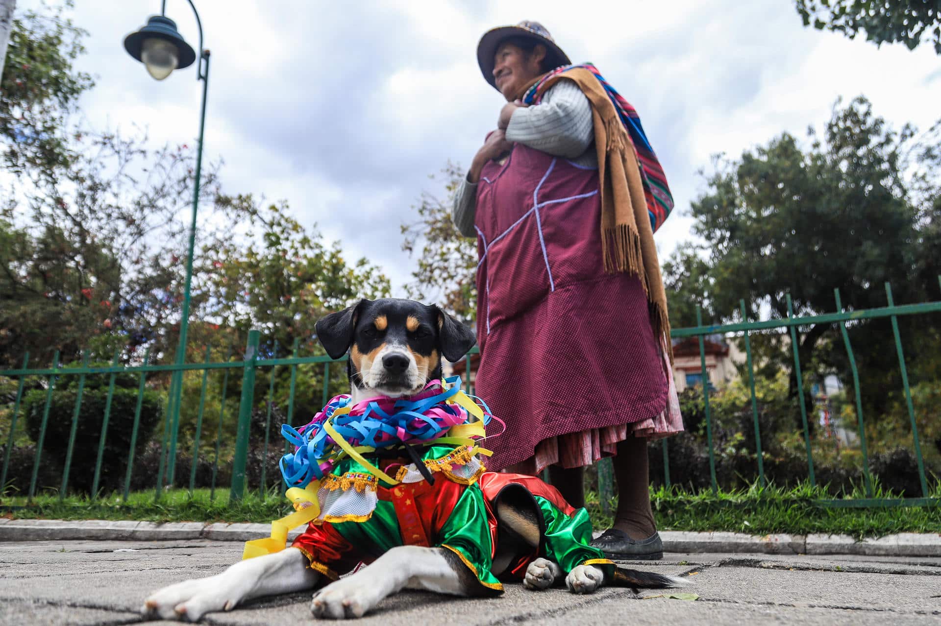 Una mujer sostiene a su perro disfrazado de 'Pepino' durante un desfile de mascotas en La Paz (Bolivia). EFE/ Gabriel Márquez