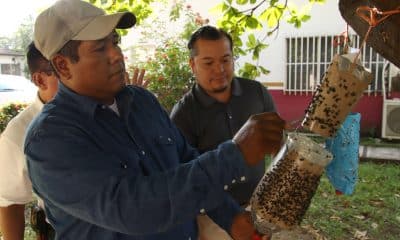 Un hombre manipula una trampa para controlar la mosca del gusano barrenador, en Tapachula (México). Imagen de archivo. EFE/Juan Manuel Blanco