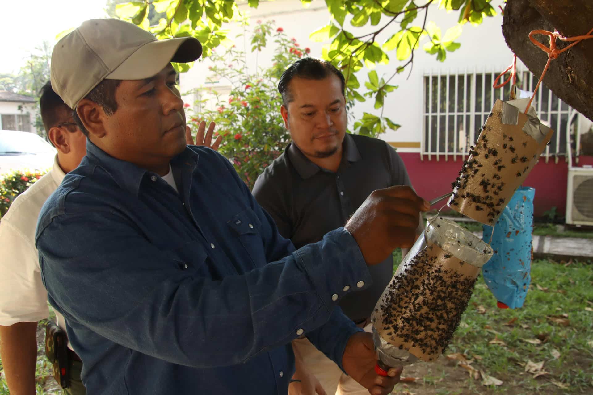 Un hombre manipula una trampa para controlar la mosca del gusano barrenador, en Tapachula (México). Imagen de archivo. EFE/Juan Manuel Blanco