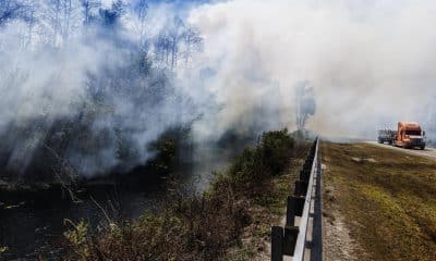 Vehículos circulan mientras arde un incendio forestal en el Parque Nacional Big Cypress, Jerome, Florida, EE. UU., el 24 de febrero de 2026. EFE/CRISTOBAL HERRERA-ULASHKEVICH