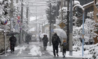Imagen de una nevada reciente. EFE/EPA/FRANCK ROBICHON