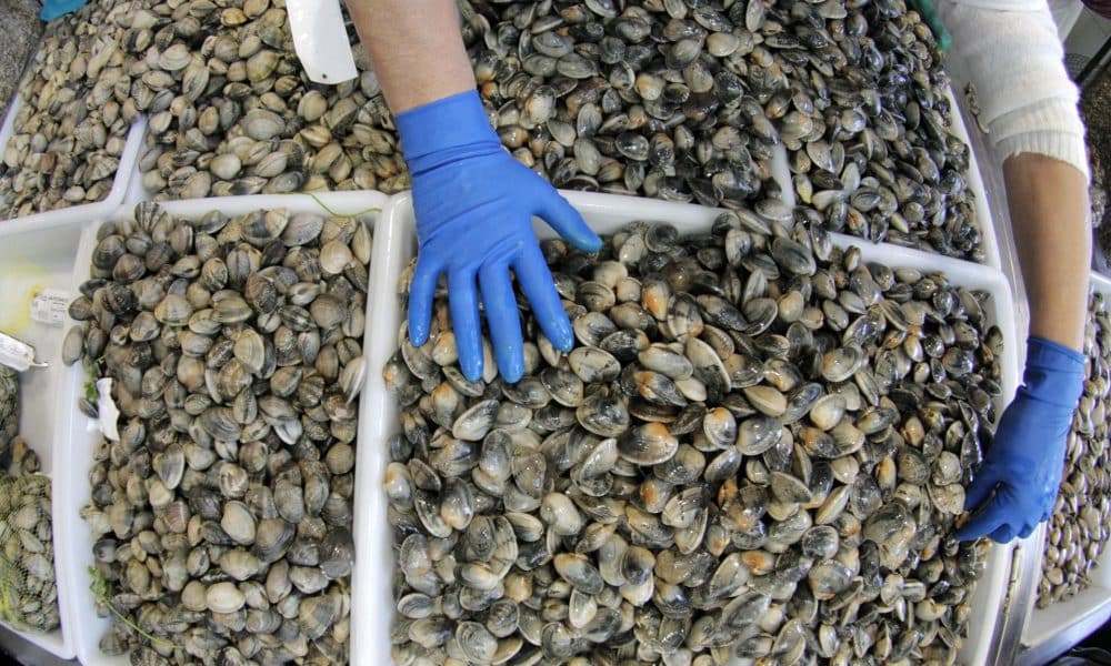 En la imagen de archivo, una pescadera coloca almejas en la plaza de abastos de Santiago de Compostela (España). EFE/Lavandeira jr