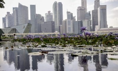 Fotografía de archivo del paisaje urbano de Singapur.
EPA/WALLACE WOON