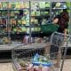 Fotografía de archivo de una mujer haciendo la compra en un supermercado. EFE/Antonio Lacerda