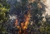 Un incendio forestal arde en el Parque Nacional Big Cypress, Jerome, Florida, EE.UU., el 24 de febrero de 2026. EFE/CRISTOBAL HERRERA-ULASHKEVICH
