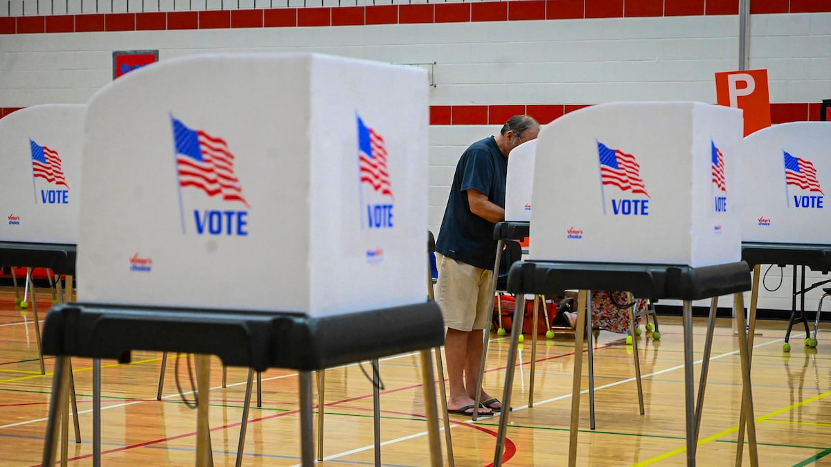 Votaron en las elecciones primarias