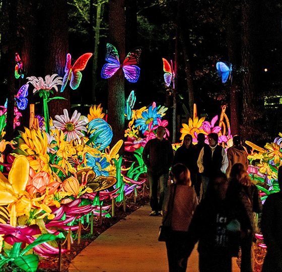 ¿Instalarán nueva oficina de ICE por el Koka Booth?