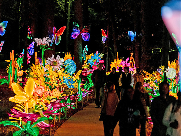 ¿Instalarán nueva oficina de ICE por el Koka Booth?