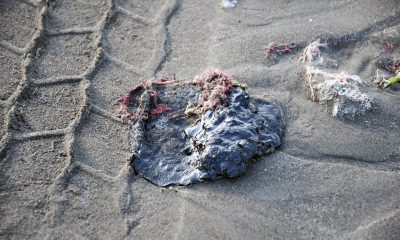 Fotografía que muestra una playa contaminada por derrame de combustible este martes, en Veracruz (México). EFE/ Miguel Victória