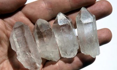 Los predecesores de los seres humanos modernos coleccionaban cristales aparentemente sin ningún uso. Un estudio con chimpancés puede ayudar a ahondar en las raíces de ello. Crédito: Aden Kahr/Donostia International Physics Center (DIPC)