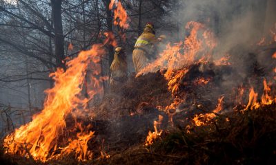 En la imagen de archivo, agentes forestales apagan un incendio en los montes de la localidad española de Vargas. EFE/ Pedro Puente Hoyos
