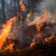 En la imagen de archivo, agentes forestales apagan un incendio en los montes de la localidad española de Vargas. EFE/ Pedro Puente Hoyos