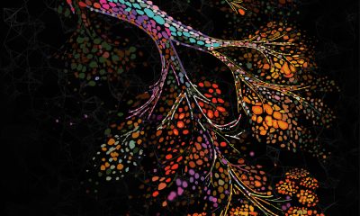 En la imagen, ilustración que representa la remodelación espacial a múltiples escalas de la mama humana a medida que envejece, con una red ductal ramificada incrustada en un microentorno denso y rico en células que da paso progresivamente a tejido rico en grasa con la edad.  EFE/ Investigadores de las universidades de Cambridge y de la Columbia Británica/SOLO USO EDITORIAL/SOLO DISPONIBLE PARA ILUSTRAR LA NOTICIA QUE ACOMPAÑA (CRÉDITO OBLIGATORIO)
