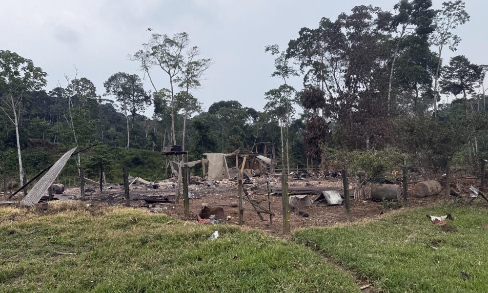 Fotografía cedida por el Ministerio de Defensa de Ecuador que muestra una zona en la provincia de Sucumbíos, fronteriza con Colombia, durante un operativo militar. EFE/ Ministerio de Defensa de Ecuador