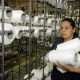 Una trabajadora labora en una empresa textil en México. Imagen de archivo. EFE/LUIS EDUARDO NORIEGA