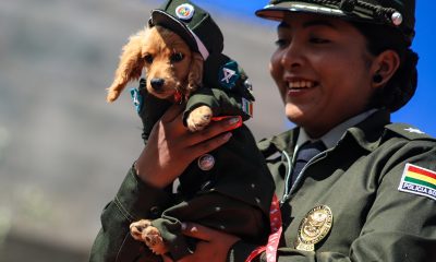 Una integrante de la Policía sostiene un perro disfrazado durante un desfile este sábado, en La Paz (Bolivia). EFE/Gabriel Márquez