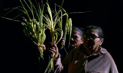 Personas participan en la celebración del Domingo de Ramos en la Catedral San Miguel Arcángel, en Tegucigalpa (Honduras). EFE/Gustavo Amador