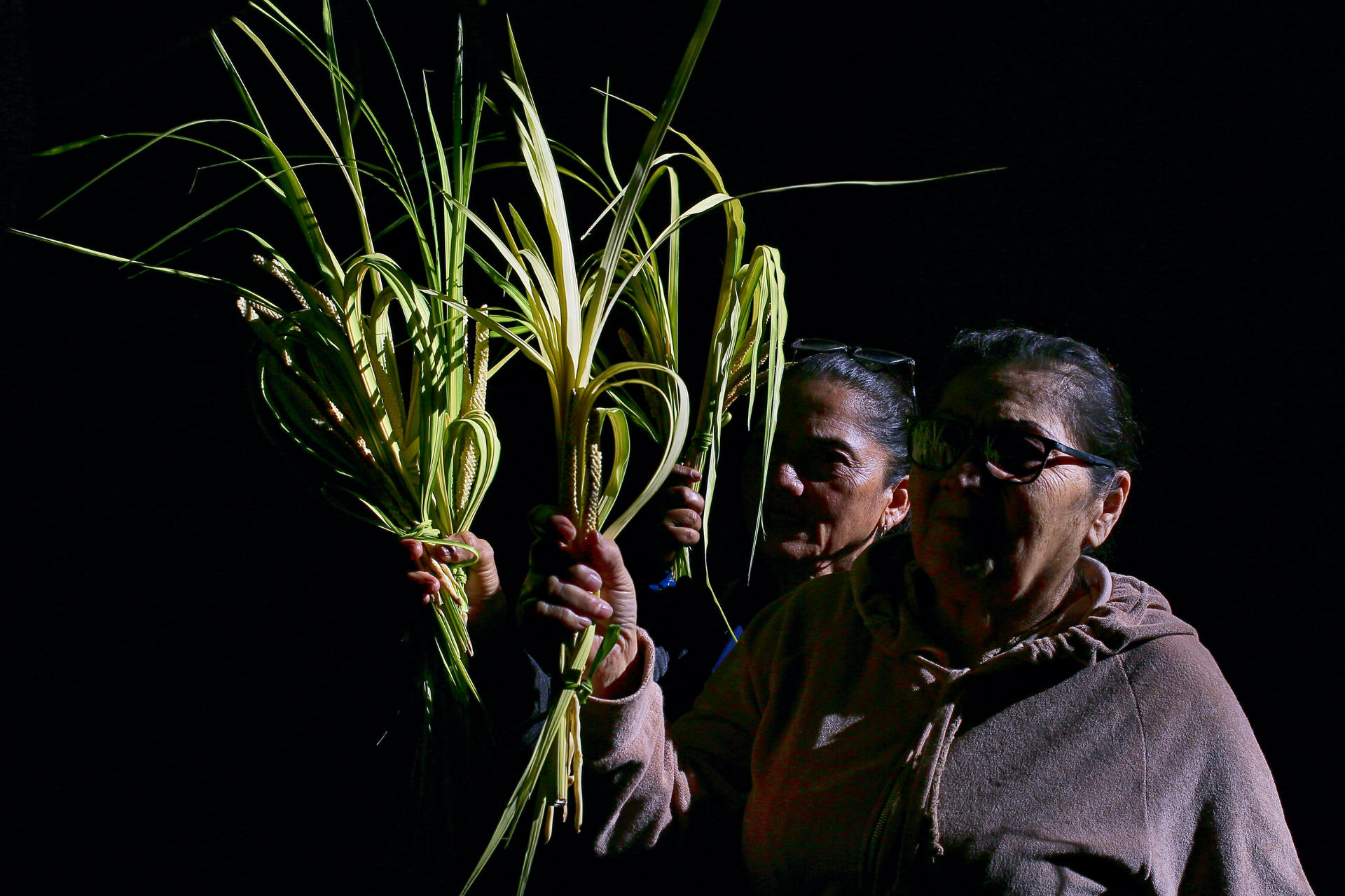 Personas participan en la celebración del Domingo de Ramos en la Catedral San Miguel Arcángel, en Tegucigalpa (Honduras). EFE/Gustavo Amador