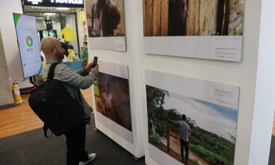 Un hombre toma una fotografía durante la exposición fotográfica 'Atrapados en sus territorio' este 24 de marzo de 2026, en Bogotá (Colombia). EFE/ Mauricio Dueñas Castañeda