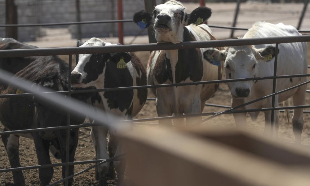 La actividad económica de México cayó un 0,3 % interanual en enero de 2026, arrastrada principalmente por la caída en el sector secundario, informó este martes el Instituto Nacional de Estadística y Geografía (Inegi). Fotografía de archivo. EFE/ Luis Torres