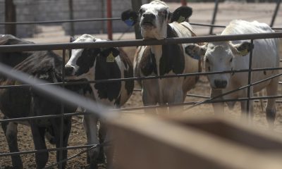 La actividad económica de México cayó un 0,3 % interanual en enero de 2026, arrastrada principalmente por la caída en el sector secundario, informó este martes el Instituto Nacional de Estadística y Geografía (Inegi). Fotografía de archivo. EFE/ Luis Torres