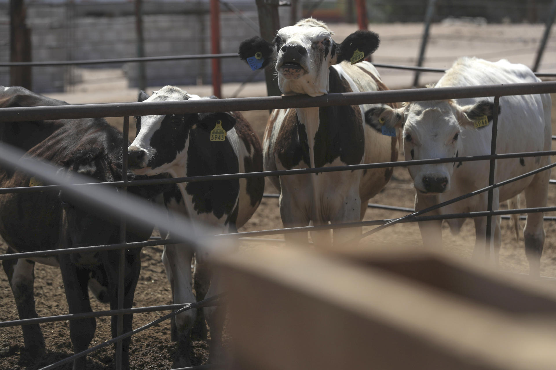 La actividad económica de México cayó un 0,3 % interanual en enero de 2026, arrastrada principalmente por la caída en el sector secundario, informó este martes el Instituto Nacional de Estadística y Geografía (Inegi). Fotografía de archivo. EFE/ Luis Torres