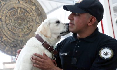 Un integrante de la Guardia Nacional posa junto a un perro del 'Escuadrón Canino' este lunes, en el Aeropuerto Internacional Felipe Ángeles (AIFA) en Santa Lucía (México). EFE/Mario Guzmán