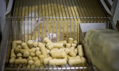 Archivo/EFE/ROMÁN G. AGUILERA