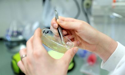 Imagen del trabajo en un laboratorio, en una foto de archivo. EFE/Estela Silva