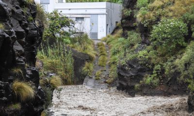 El agua corre con fuerza por el barranco de Las Angustias, en La Palma, tras las intensas precipitaciones que ha dejado en la isla la borrasca Therese. EFE/Luis G. Morera