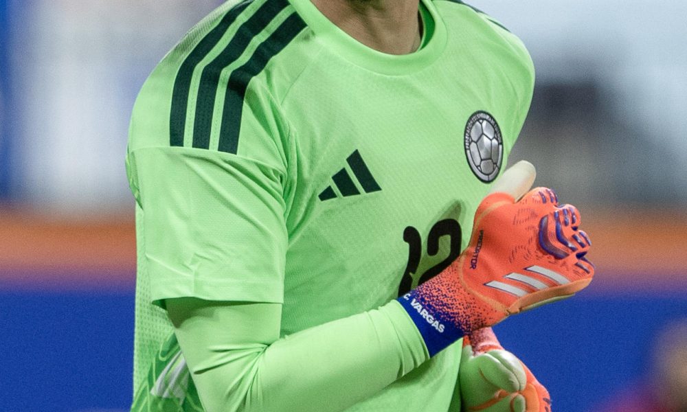 Fotografía de archivo donde aparece el portero Camilo Vargas de Colombia. EFE/ Angel Colmenares