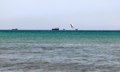 Fotografía de archivo donde se observan varios buques en el estrecho de Ormuz. EFE/EPA/ALI HAIDER