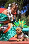 Una persona junto a su perro disfrazado participan en un desfile este sábado en La Paz (Bolivia). EFE/Gabriel Márquez