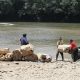 Personas descargan mercancía proveniente de Ecuador este viernes, en el cruce irregular sobre el río San Miguel que conecta a San Miguel (Colombia) con la zona rural de Lago Agrio (Ecuador). EFE/ Carlos Ortega