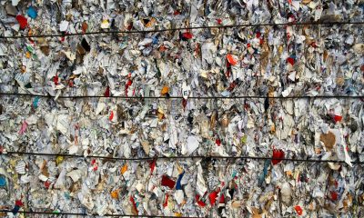 Vista de archivo de residuos de papel en una planta de reciclaje. EFE/ Raúl Caro Cadenas