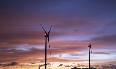 Aerogeneradores en la localidad de Corralejos (Islas Canarias), en una foto de archivo. EFE/ Carlos de Saá