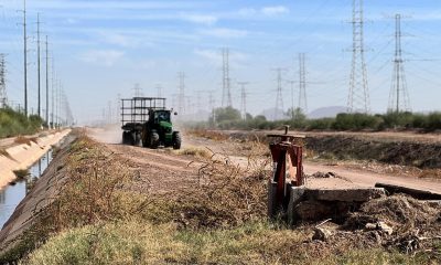 Fotografía de archivo de un campo agrícola en el Valle del Yaqui en Hermosillo (México). EFE/ Daniel Sánchez