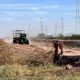 Fotografía de archivo de un campo agrícola en el Valle del Yaqui en Hermosillo (México). EFE/ Daniel Sánchez