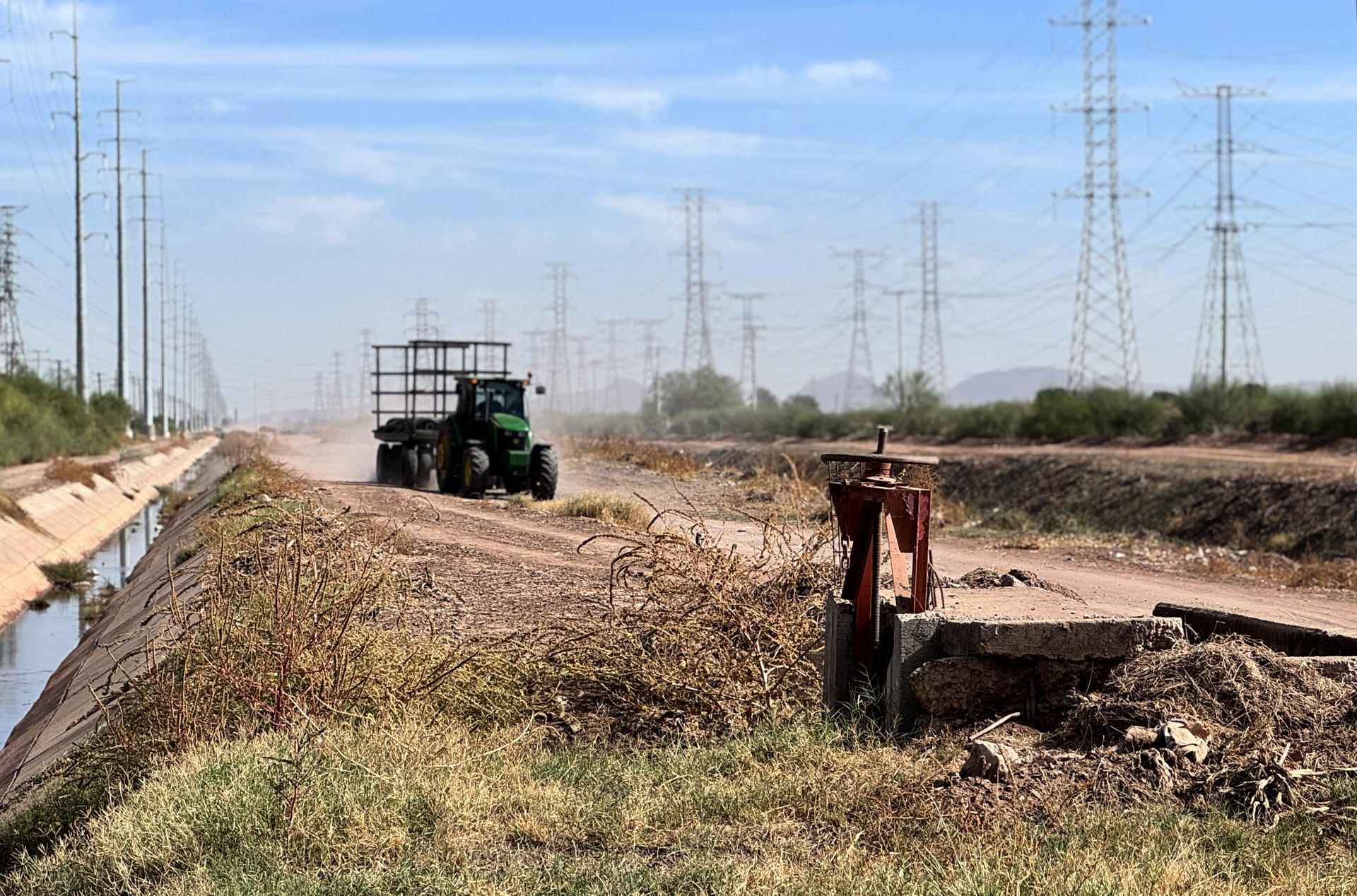 Fotografía de archivo de un campo agrícola en el Valle del Yaqui en Hermosillo (México). EFE/ Daniel Sánchez