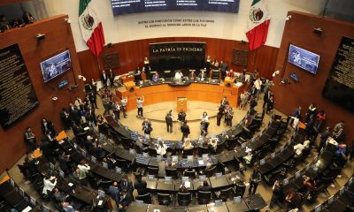 Fotografía que muestra a los asistentes de una sesión en el Senado de la República en Ciudad de México (México). Imagen de archivo. EFE/ Mario Guzmán