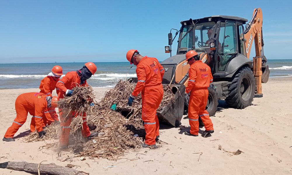 Fotografía cedida por la Secretaría del Medio Ambiente y Recursos Naturales (Semarnat), donde se observa a personas limpiando en una playa de Tabasco (México). EFE/ Semarnat /SOLO USO EDITORIAL/ NO VENTAS/ SOLO DISPONIBLE PARA ILUSTRAR LA NOTICIA QUE ACOMPAÑA (CRÉDITO OBLIGATORIO)