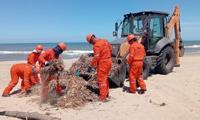 Fotografía cedida por la Secretaría del Medio Ambiente y Recursos Naturales (Semarnat), donde se observa a personas limpiando en una playa de Tabasco (México). EFE/ Semarnat /SOLO USO EDITORIAL/ NO VENTAS/ SOLO DISPONIBLE PARA ILUSTRAR LA NOTICIA QUE ACOMPAÑA (CRÉDITO OBLIGATORIO)