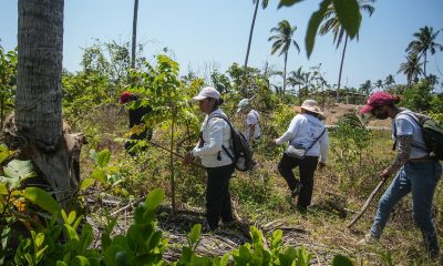 Integrantes del colectivo 'Memoria verdad y justicia', participan en la búsqueda de personas desaparecidas en Acapulco, estado de Guerrero (México). Imagen de archivo. EFE/ David Guzmán.