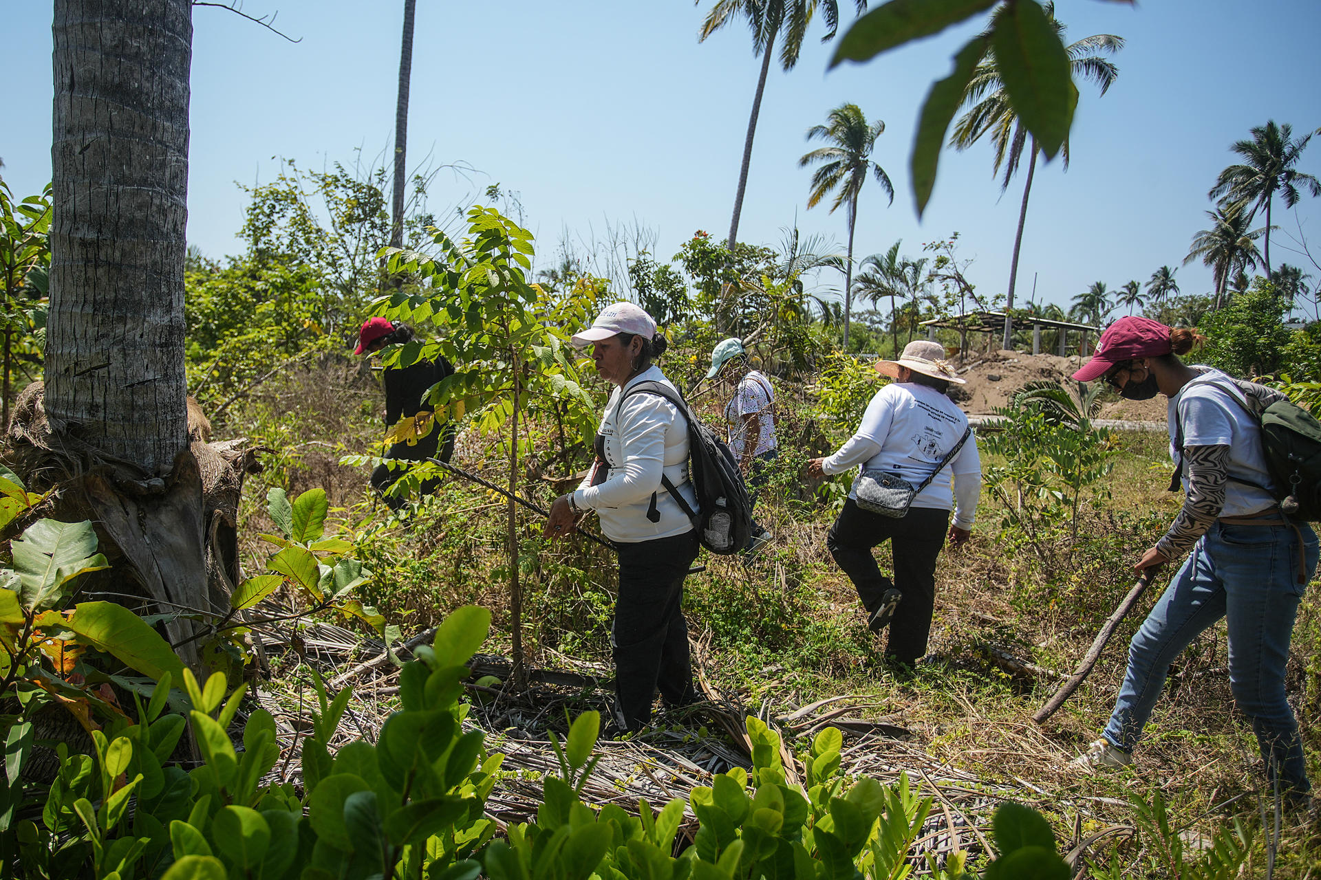Integrantes del colectivo 'Memoria verdad y justicia', participan en la búsqueda de personas desaparecidas en Acapulco, estado de Guerrero (México). Imagen de archivo. EFE/ David Guzmán.