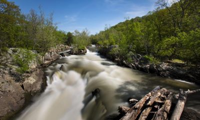 Archivo. EFE/EPA/JIM LO SCALZO