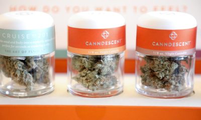 Productos de cannabis se exhiben en latas selladas en el dispensario MedMen para la compra de marihuana recreativa en West Hollywood, California (EE.UU.). Fotografía de archivo. EFE/EUGENE GARCIA