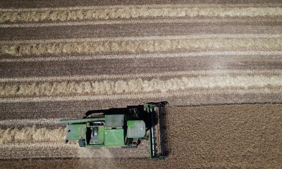 Fotografía de archivo de una máquina cosechadora mientras recoge cereal en un campo. . EFE/ Jesús Diges