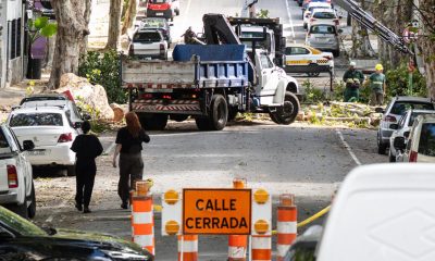 Fotografía cedida por la Intendencia de Montevideo que muestra un equipo de la Intendencia trabajando en el retiro de un árbol caído este miércoles, en Montevideo (Uruguay). EFE/ Intendencia de Montevideo /SOLO USO EDITORIAL/ NO VENTAS/ SOLO DISPONIBLE PARA ILUSTRAR LA NOTICIA QUE ACOMPAÑA (CRÉDITO OBLIGATORIO)