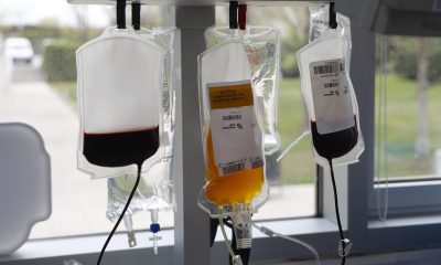 Fotografía de archivo, tomada el 20/03/2026, que muestra bolsas de sangre recogidas durante una jornada de donación en Madrid. EFE/Maria Aguilella Pardo