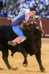- El diestro Roca Rey con su segundo toro en la decimotercera corrida de abono este jueves en la Plaza de Toros de La Maestranza de Sevilla. EFE/ Raúl Caro
